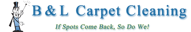 Avatar for B & L Carpet Care