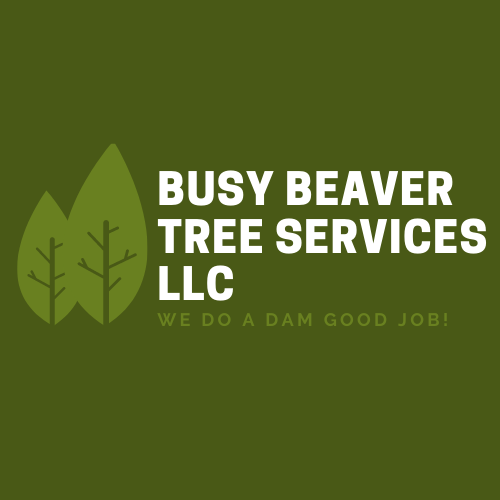 Avatar for Busy Beaver Tree Services, LLC.