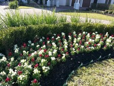 angel's garden Lawn and landscape logo