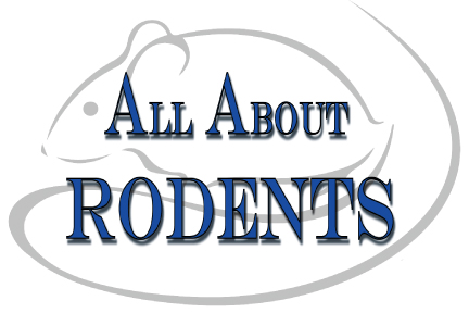 Avatar for All About Rodents,Inc.