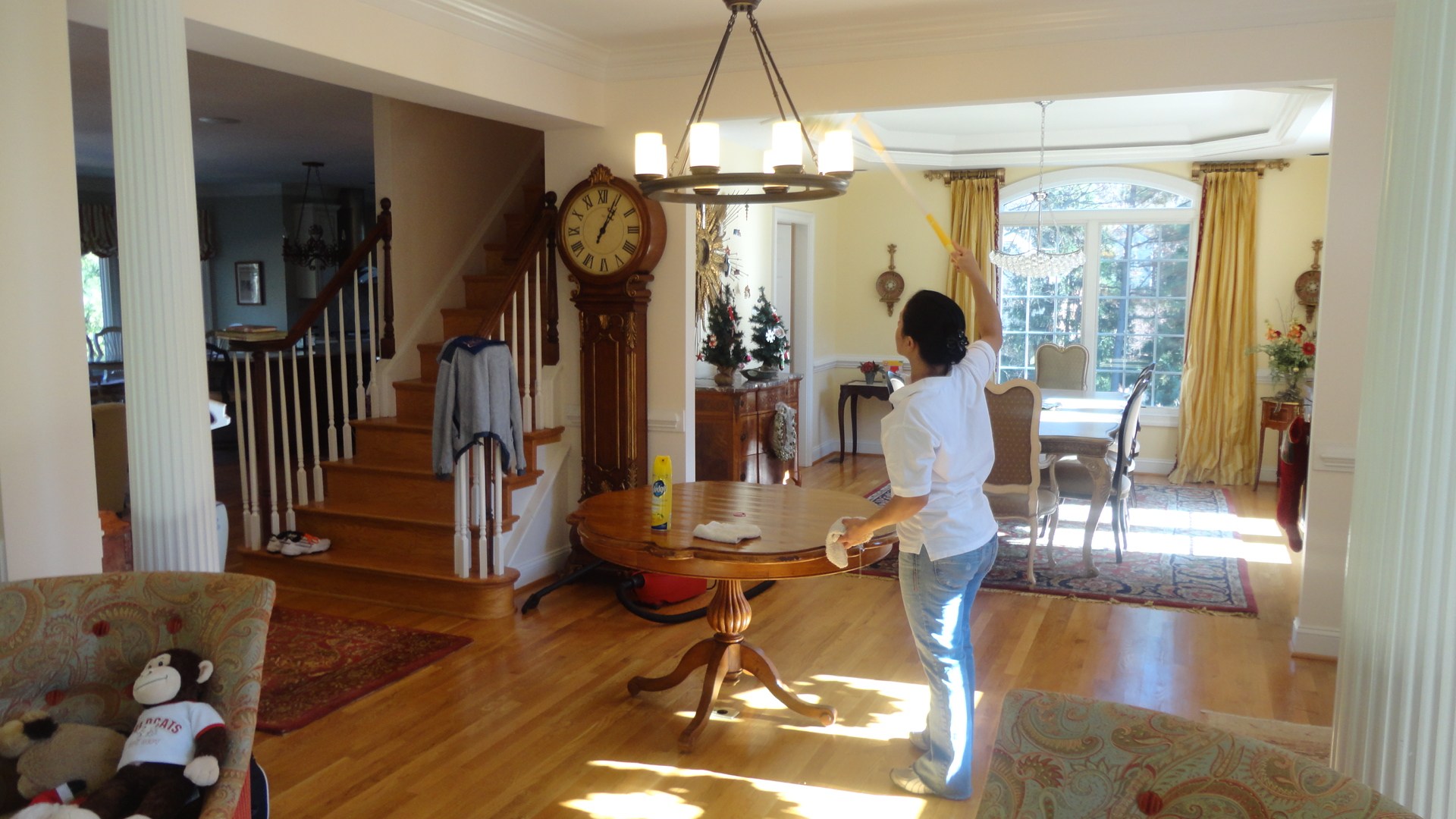 Logo for Magna Cleaning Services