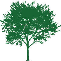 Logo for Sanders Landscaping and Tree Service
