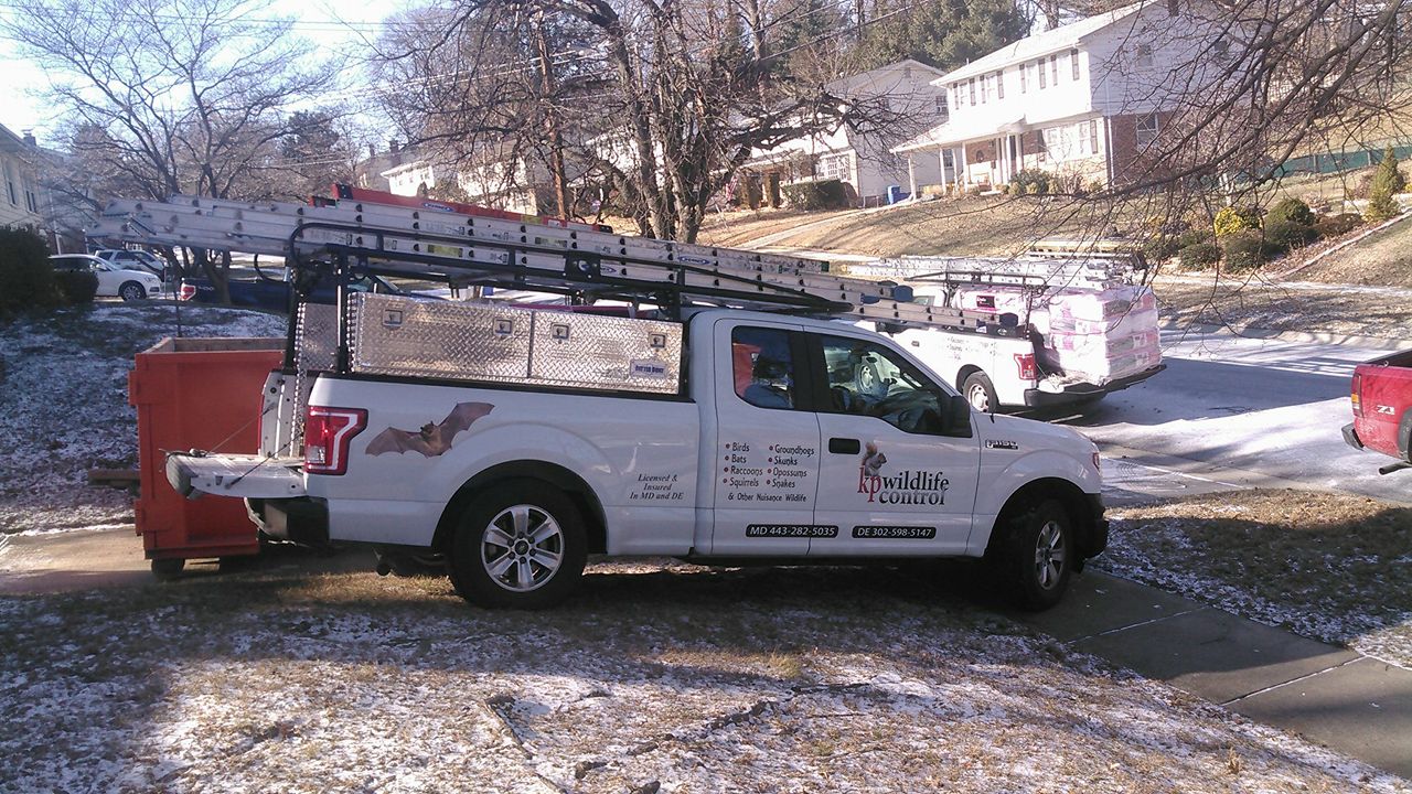 KP Wildlife Control and Repairs LLC logo
