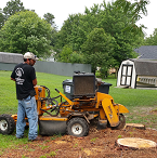 Avatar for Arbor Quality Tree LLC
