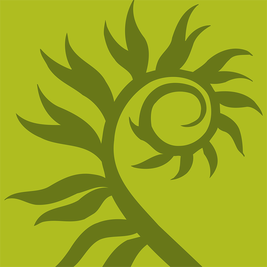 Fernwood Designs logo