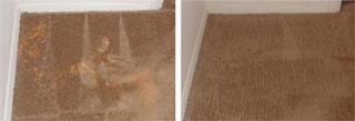 Professional Carpet Restoration logo