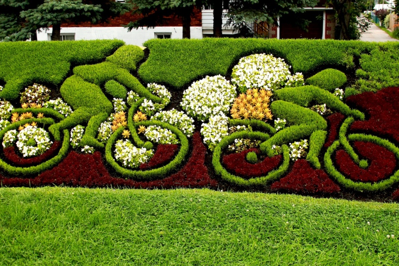 David G L Landscaping & Tree Service logo