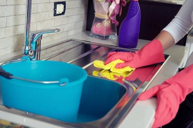 Liz Cleaning Solution logo