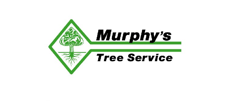 Murphy's Tree Service logo