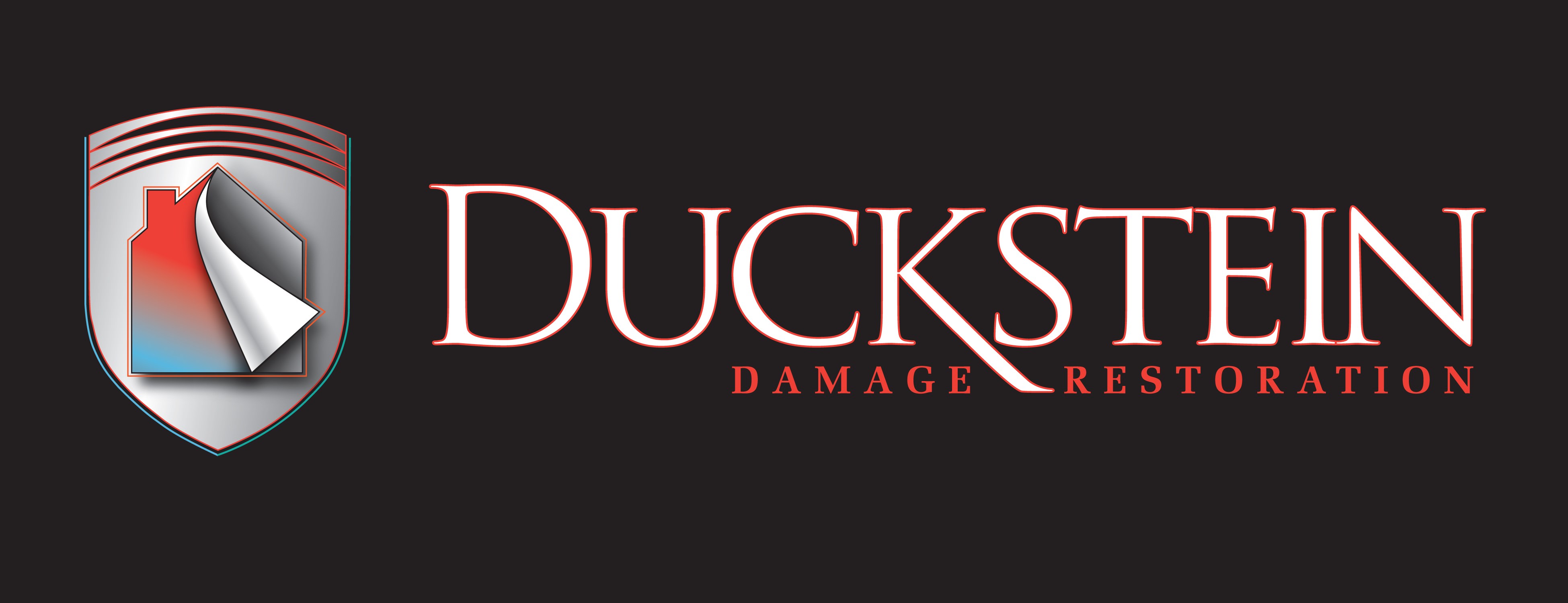 Duckstein Restoration logo