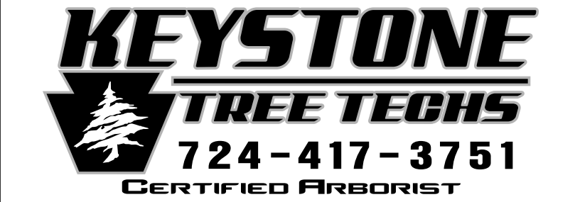 Avatar for Keystone Tree Techs