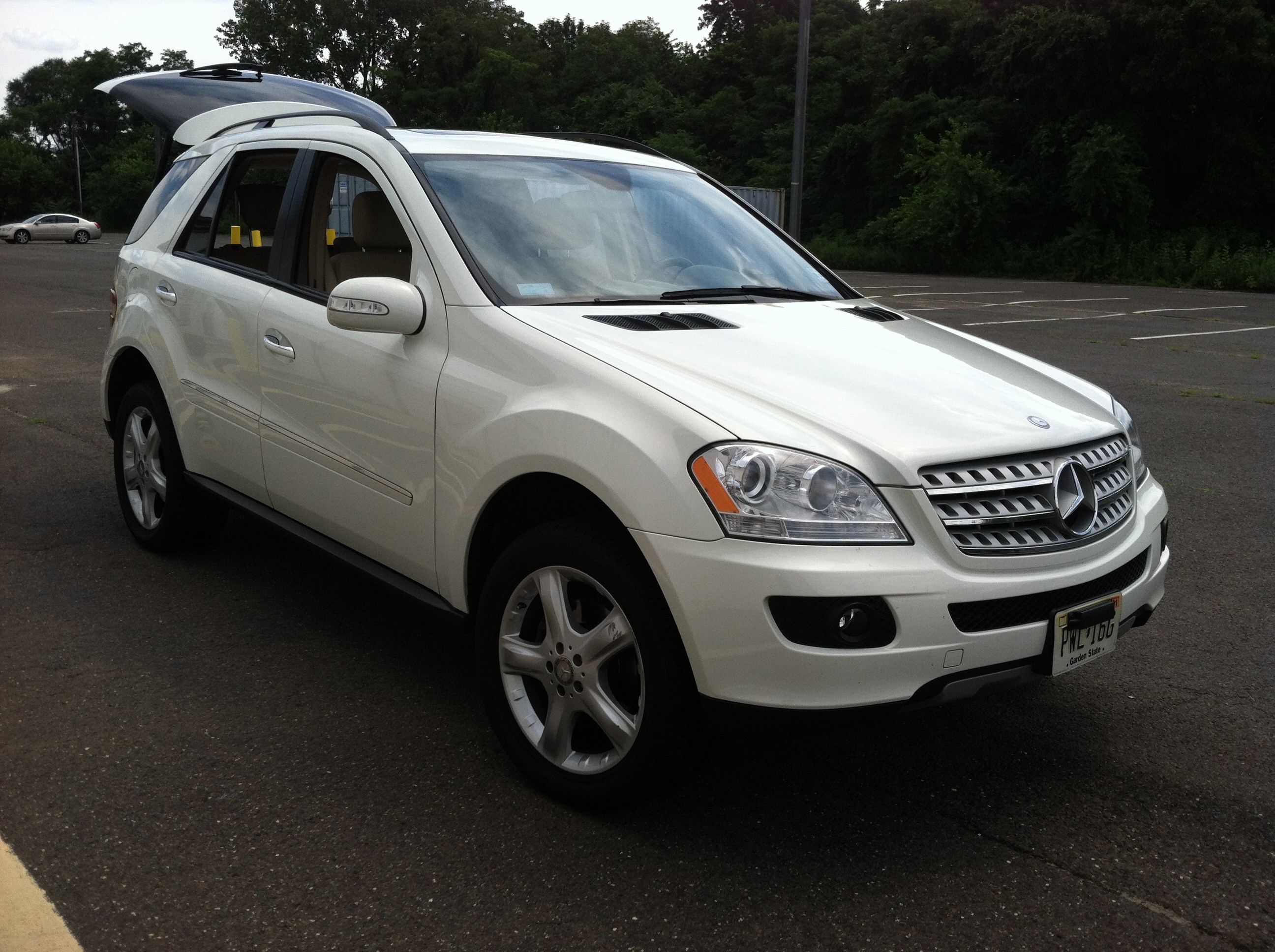 Heavenly Shine Mobile Detailing logo
