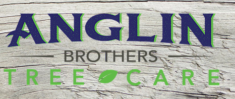 Anglin Brothers Tree Care logo