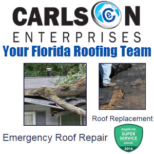 Carlson Enterprises LLC - Daytona Beach logo