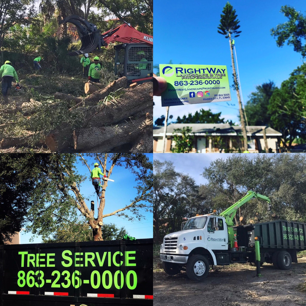 RightWay Landscape & Tree Professionals, LLC. logo
