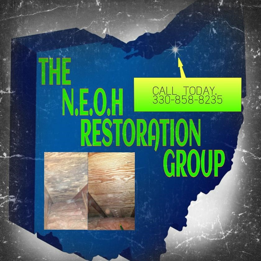 The Neoh Restoration Group LLC logo