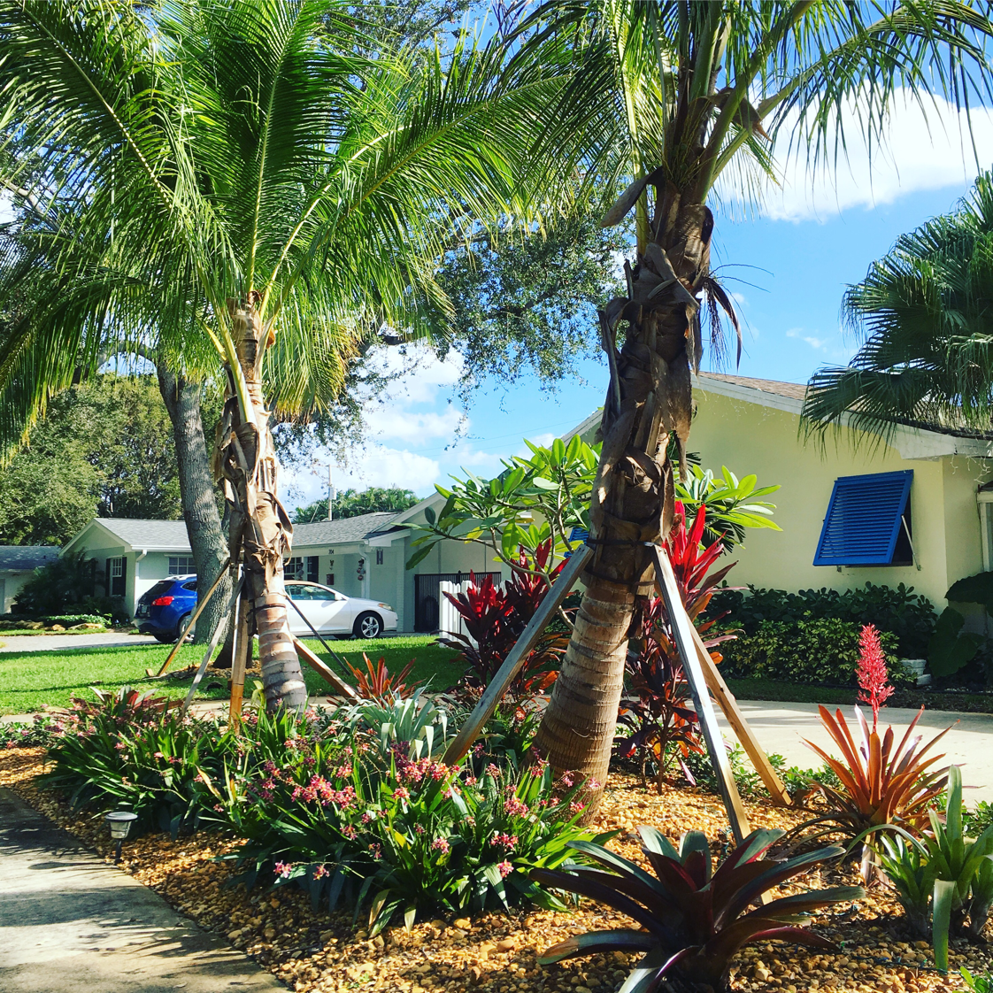 Roots Landscape Service, LLC logo