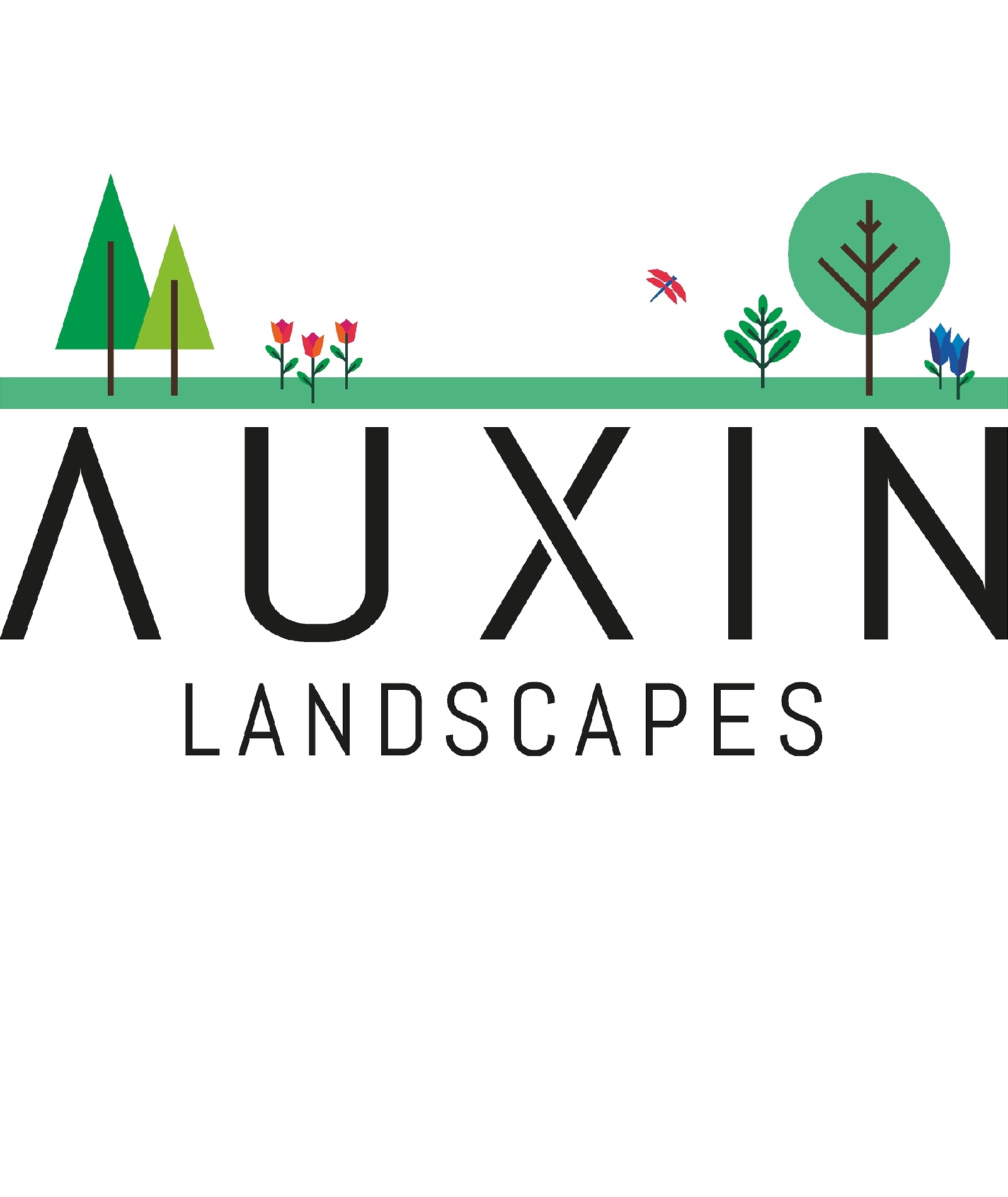 Auxin Landscape logo