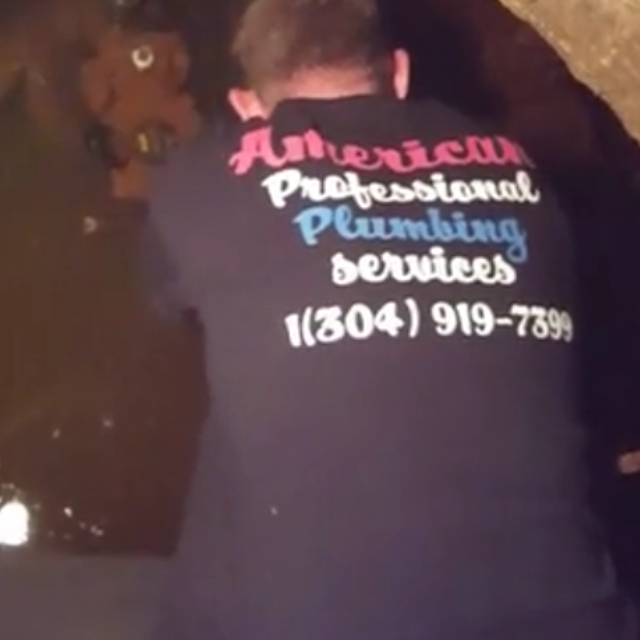 American Professional Plumbing Services logo