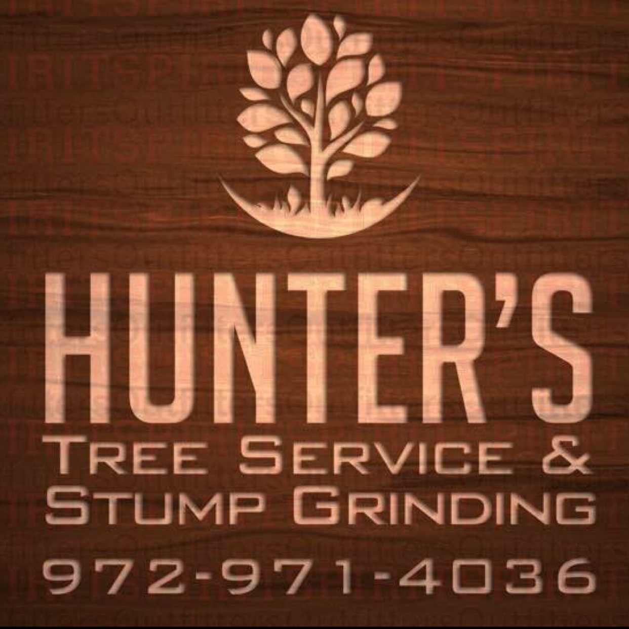 Avatar for Hunter's Tree Service & Stump Grinding