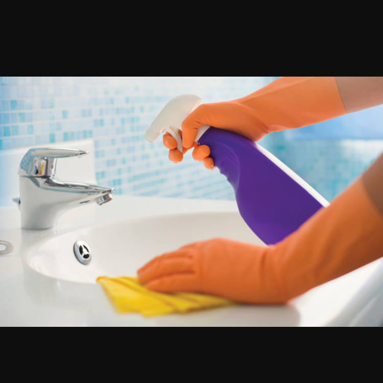 Logo for We Mean to Clean