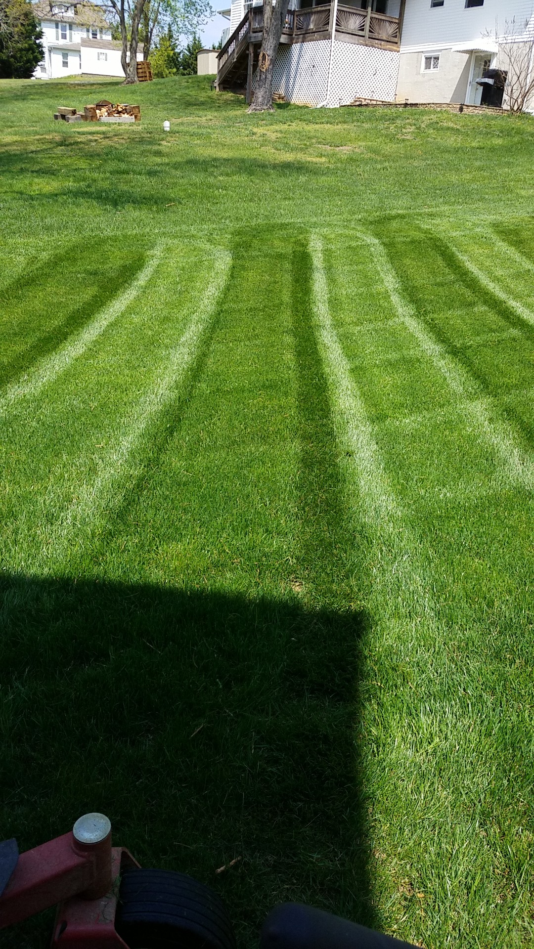 Logo for Nelson Lawn Care