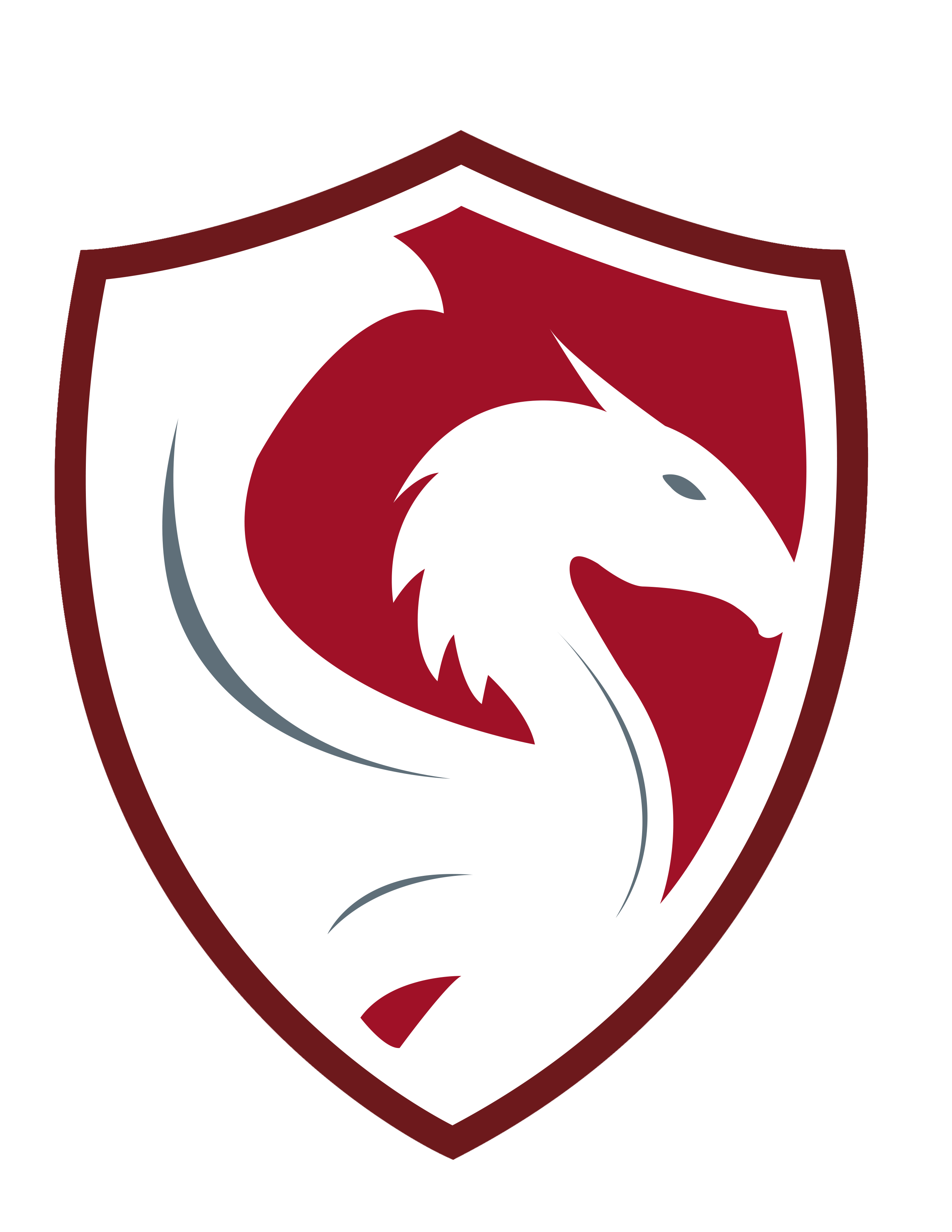 Valor Home Innovations logo