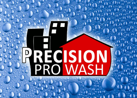 Logo for Precision Pro Wash