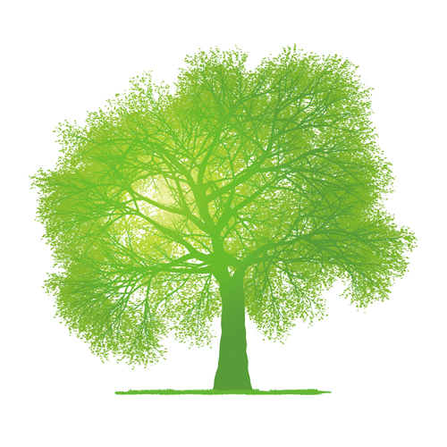 Avatar for TREE-GONE-OMETRY