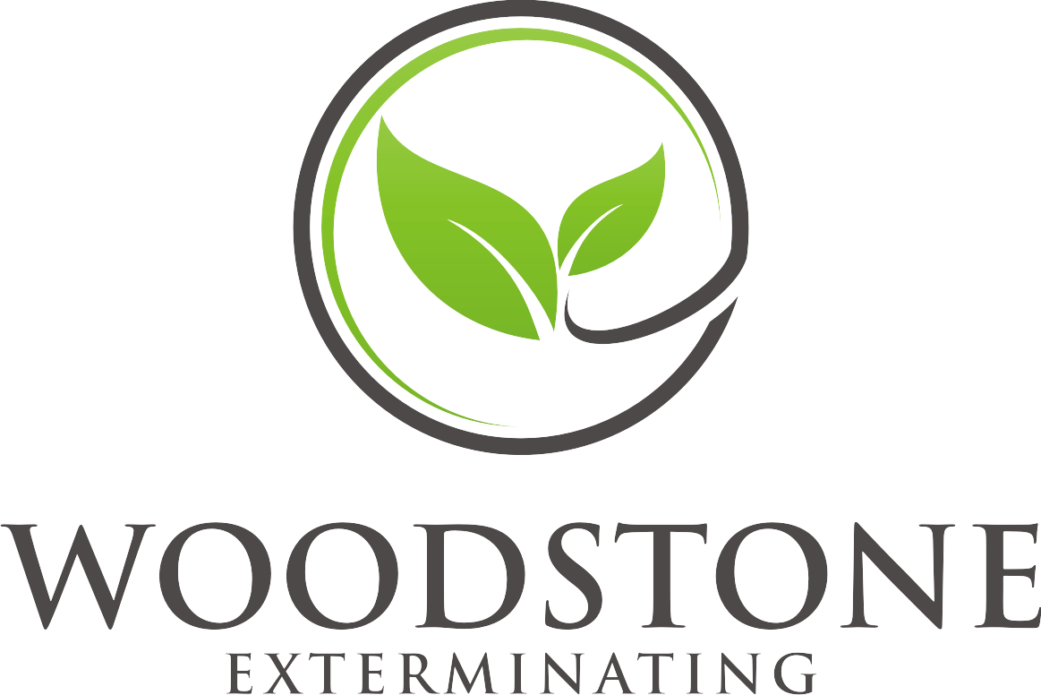 Avatar for Woodstone Exterminating