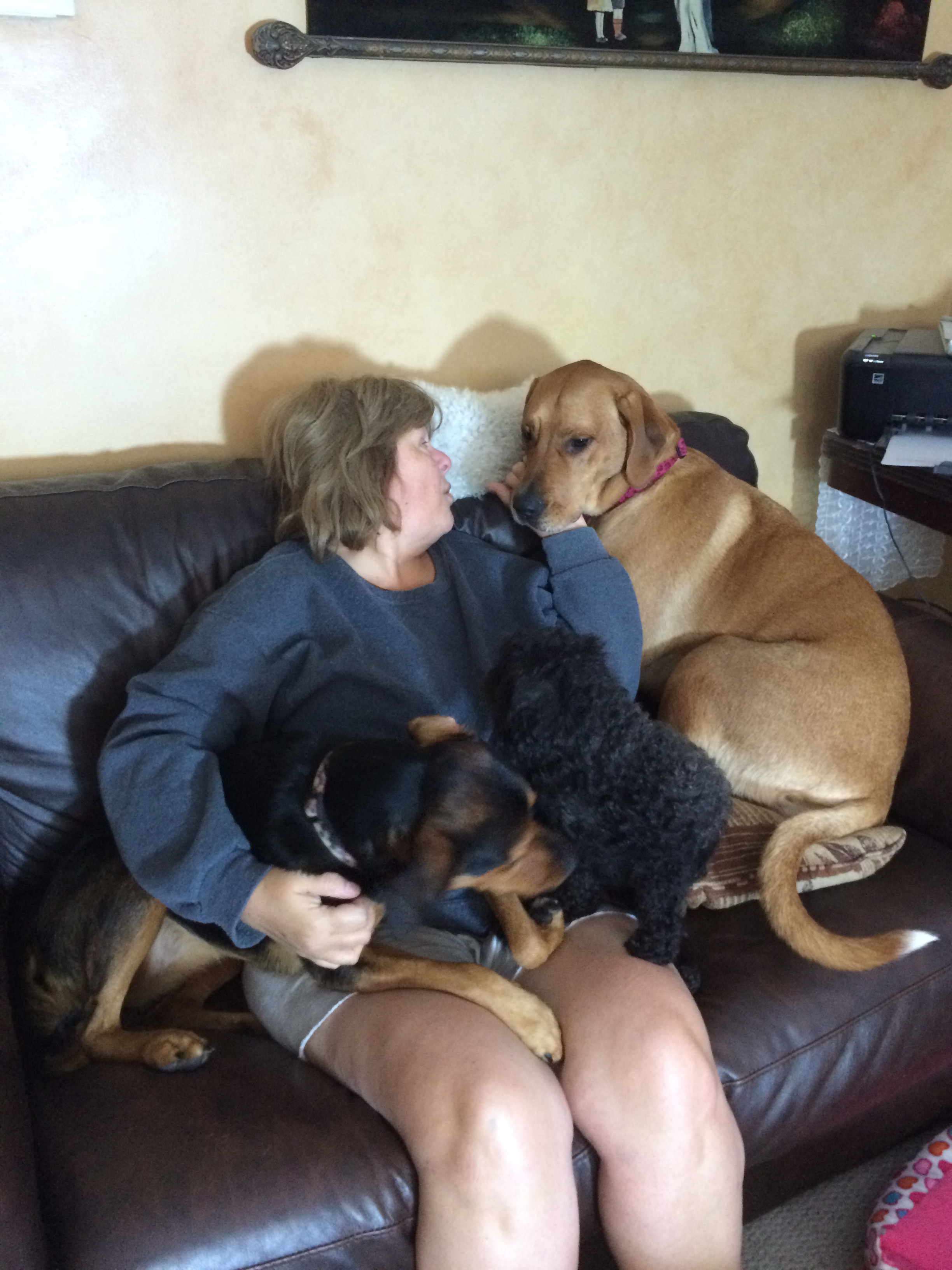 Logo for Care-free Canine IN HOME Dog Boarding