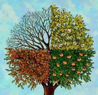 Logo for Four Season's Tree Service