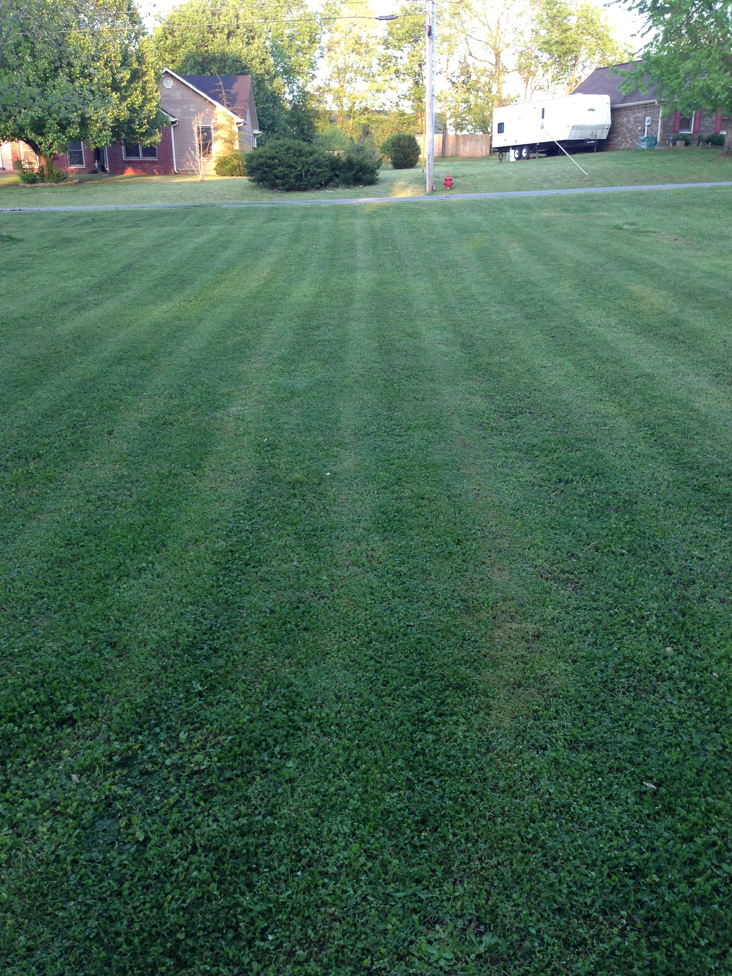Avatar for AMG Lawncare and Landscaping
