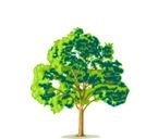 Avatar for Flying Bryan Wimm Tree Service