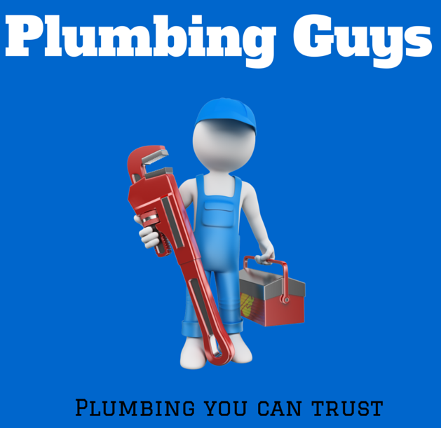 Logo for Plumbing Guys