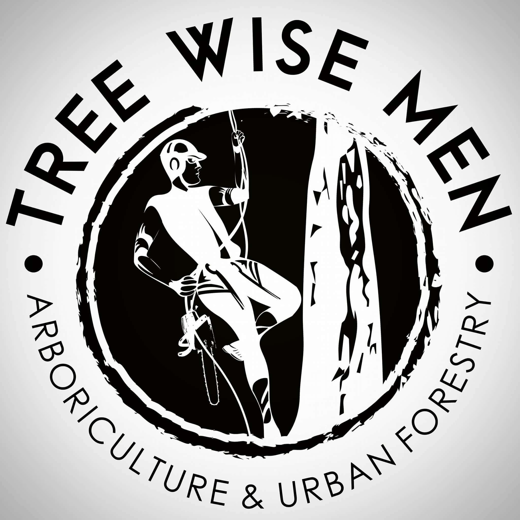 Tree Wise Men logo