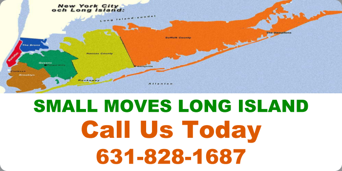 Small Moves Long Island logo