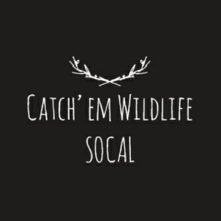 Avatar for Catch'em Wildlife SoCal