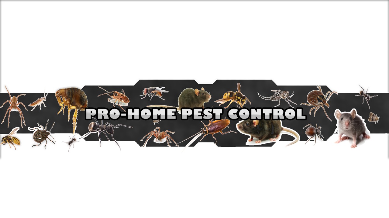 Pro-Home Pest Control logo