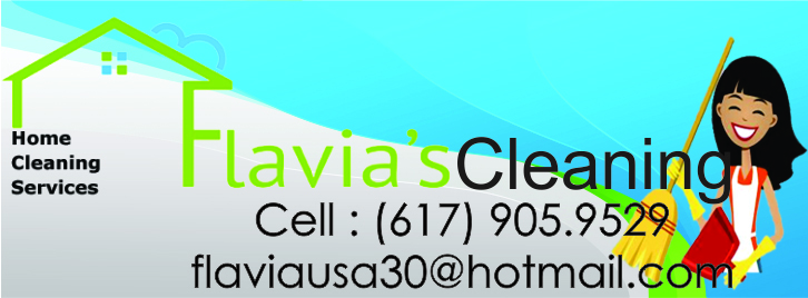 Flavia House cleaning logo