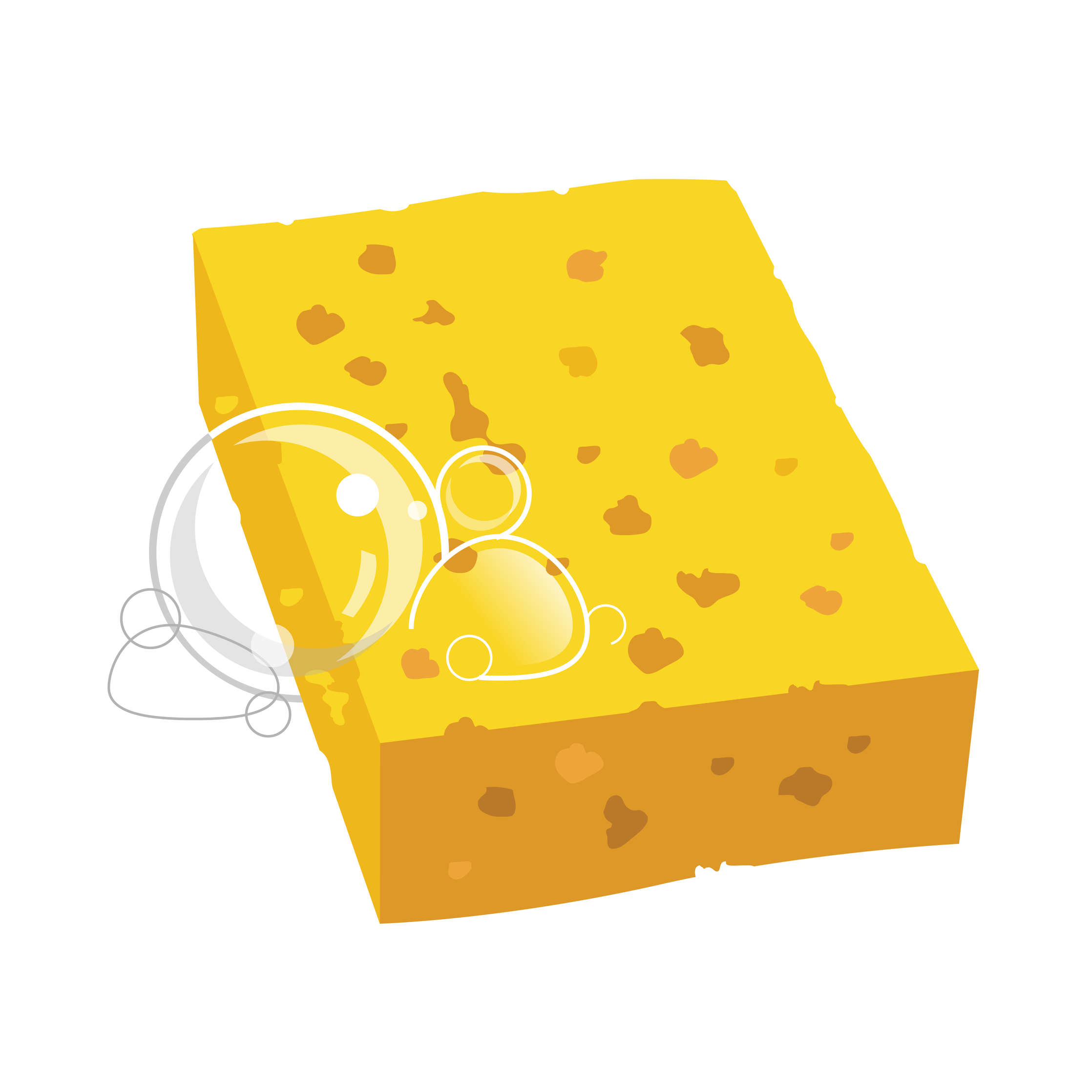 Logo for Sponge Housekeeping