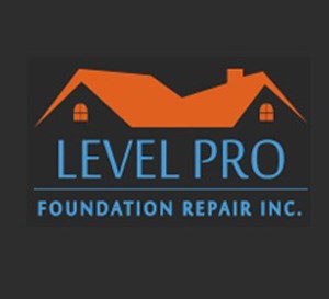 Avatar for Level Pro Home Services Inc