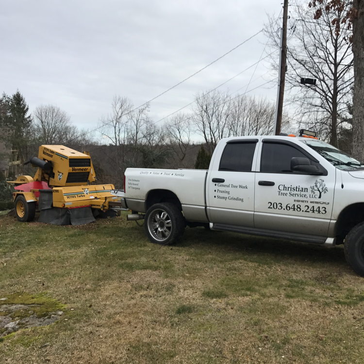 Logo for Christian Tree Service LLC