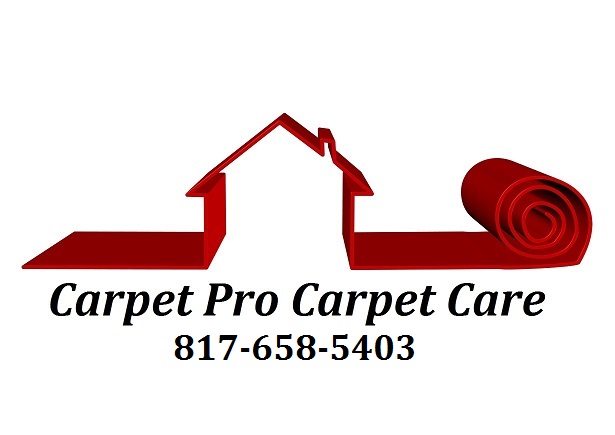Carpet Pro Carpet Care logo