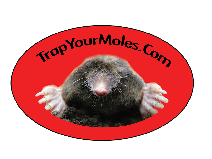 Trap Your Moles.Com logo
