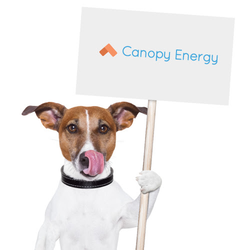 Logo for Canopy Energy
