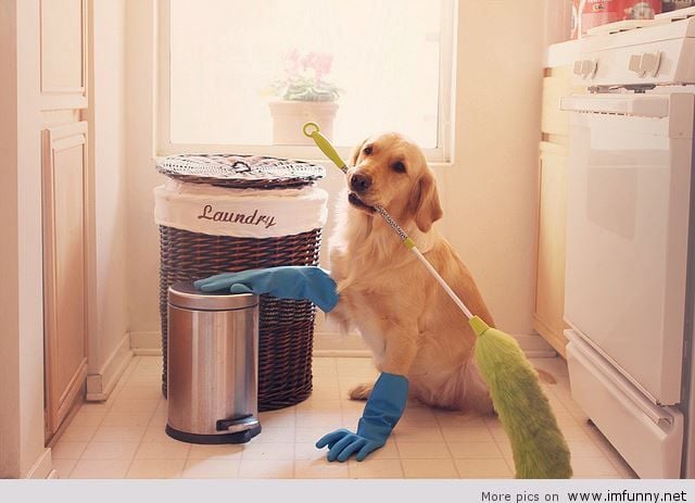 Avatar for First Rate Cleaning Company