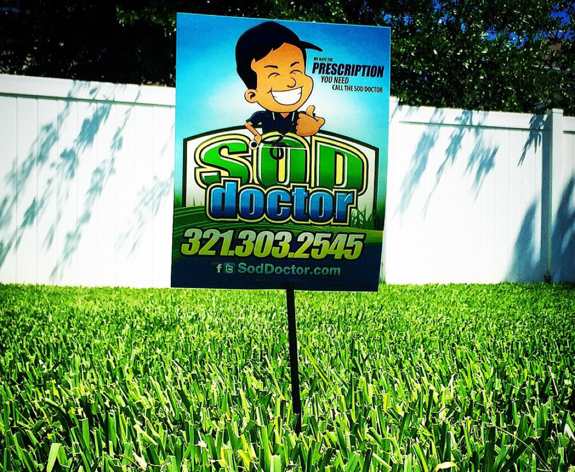 Soddoctor.com logo