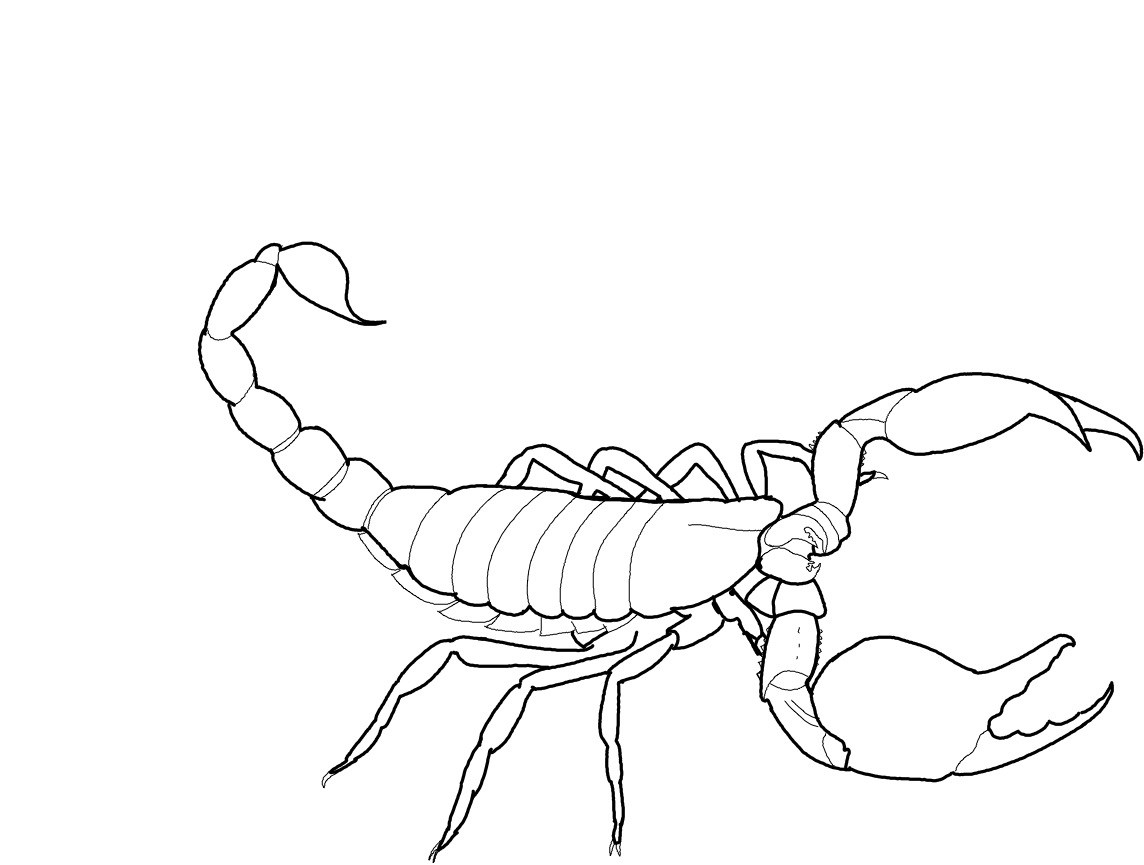 Logo for Scorpion Home LLC
