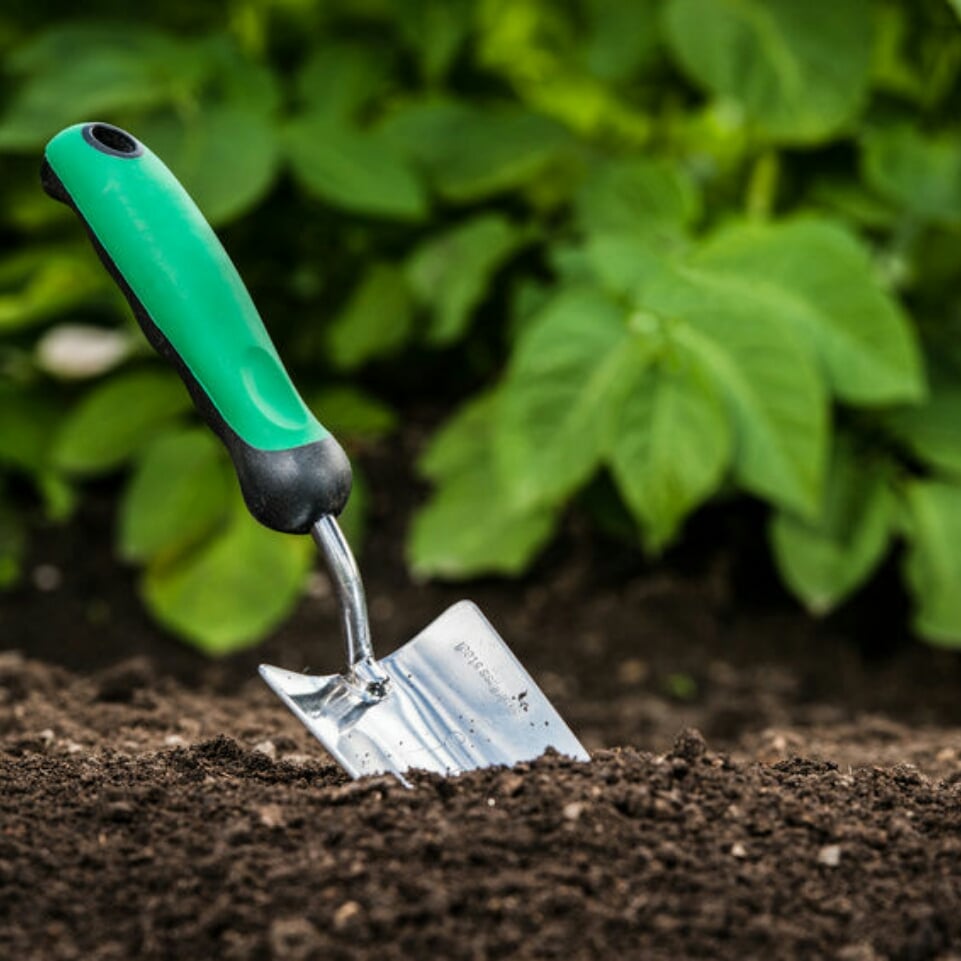 Lopez Lawn Care logo